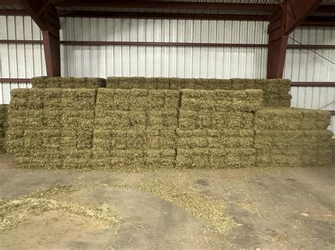 Peanut hay for sale near me. Test peanut hay if it is going to be fed to livestock, though. Drought-stressed peanuts in the last five to six weeks are at higher risk for alflatoxin, as you know. Aflatoxin must be less than 20 ppb in the hay to be safe. High nitrates, or more than 4500 ppm, can be a problem, too, according to a notable forage specialist I know. ... 