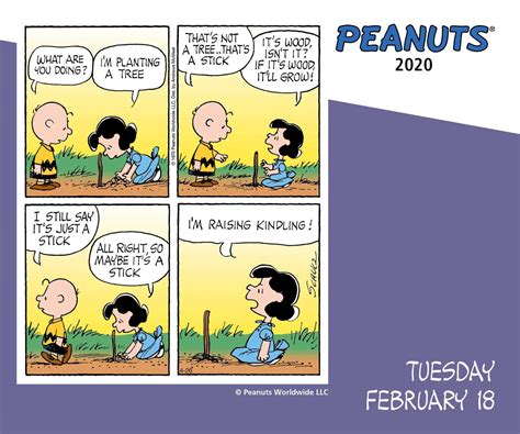 Read Online Peanuts 2020 Daytoday Calendar By Not A Book