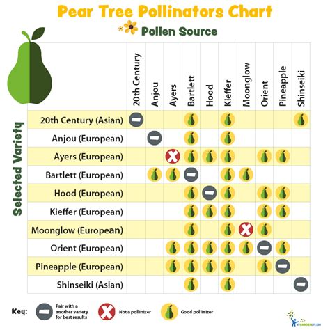 Pear Pollination Chart