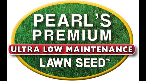 Pearls Premium Lawn Seed - YouTube