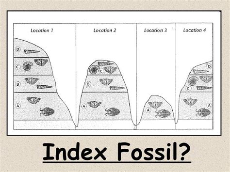 Pearson lab manual using index fossils. - Konfliktsituationen im altenheim. eine bewährungsprobe für das pflegepersonal..
