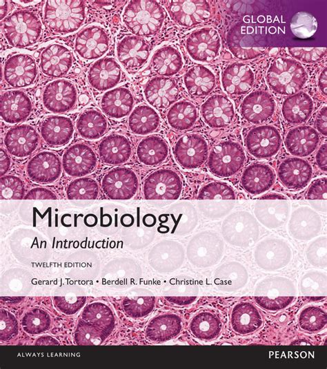 Pearson study guide microbiology an introduction. - Vw passat cruise control installing manual.