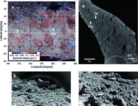 Pebbles and sand on asteroid (162173) Ryugu: In situ observation …