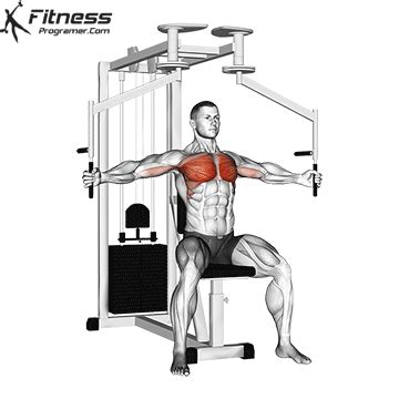 Pec deck shoulder pain.  The pec deck fly is beginner The chest pec fly workout targ...