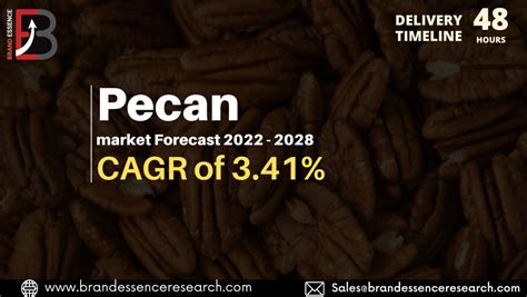 Pecan Market Price 2021