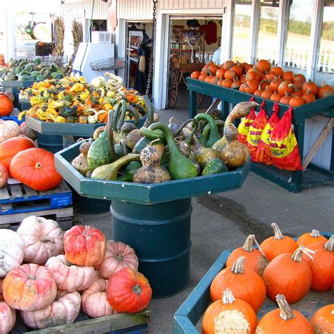 Pecks spring green. Heck's Farm Market, Wyoming, Wisconsin. 1,549 likes · 2 talking about this · 629 were here. Retail and wholesale farm market. Fresh produce, flowers, pumpkins, home made cider donuts and candy... 