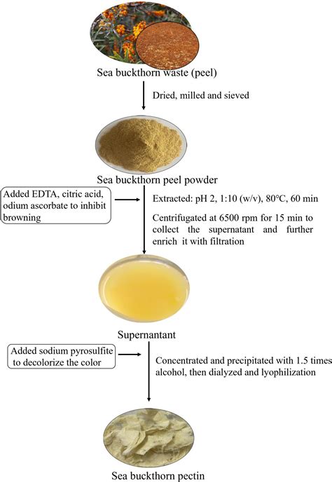 Pectin extraction pdf.  Therefore, there is a need to exploit novel pectin extractio...