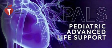 Pediatric Advanced Life Support Pals Update Course