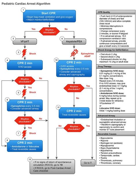 Pediatric Cardiac Arrest Acls Algorithm Acls Pals Algorithm Hot Sex