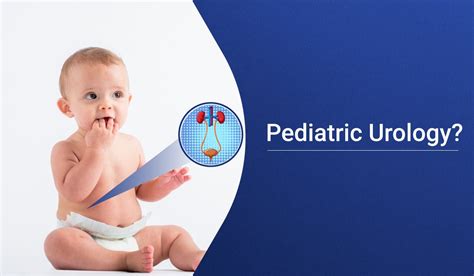 Pediatric urology massachusetts. .  <a href=https://alphalead.app/assets/images/zzopefr/inde...