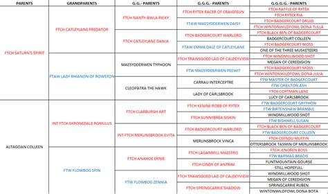 Pedigree: FTCh & Int. FTCh Beileys Aguzannis Of Fendawood