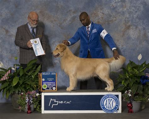 Pedigree: GCH Starrise N Powderhorn Not My First Rodeo CGC …