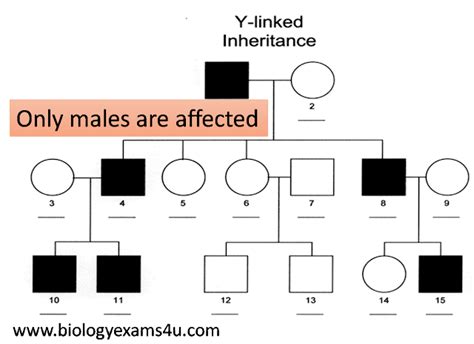 Pedigree Analysis meaning, Inheritance Pattern and Problem Solving tips