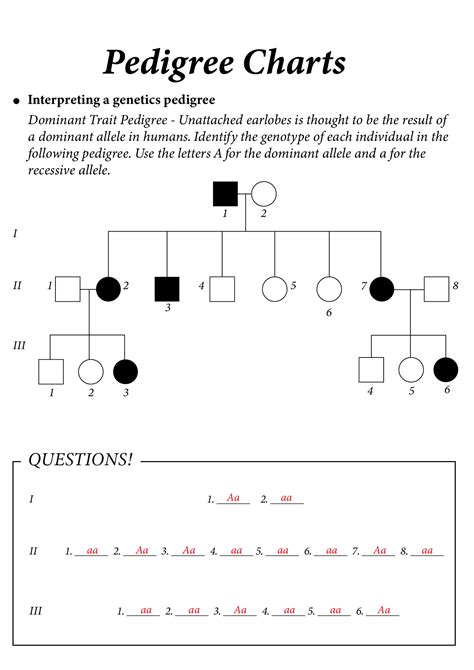 Pedigree Chart Activity Answer Key