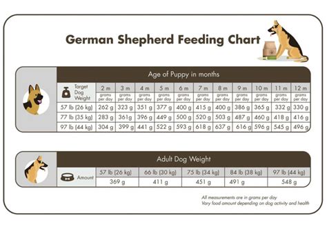Pedigree Food For German Shepherd Puppy