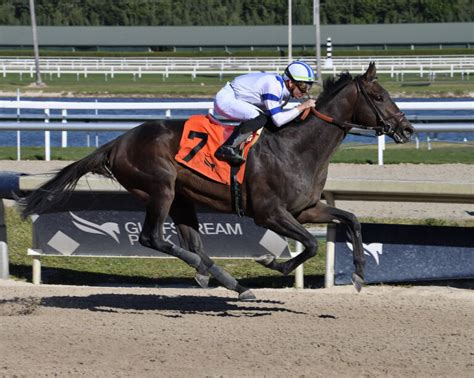 Pedigree fun facts: 2024 Preakness Stakes - Kentucky Derby