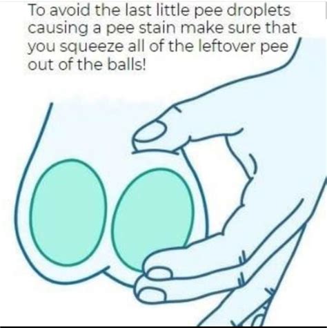 Pee is stored in the balls. Things To Know About Pee is stored in the balls. 