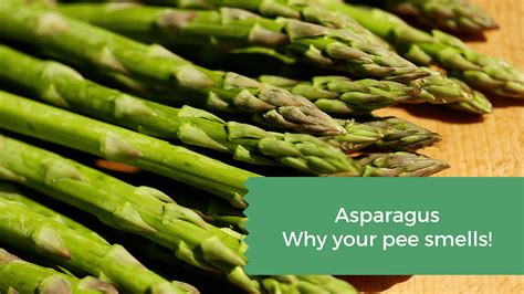 Winter says: "People have been talking about asparagus-urine since the 1700s.In fact, Benjamin Franklin wrote in 1780, 'A few stems of asparagus eaten, shall give our urine a disagreeable odour .... 