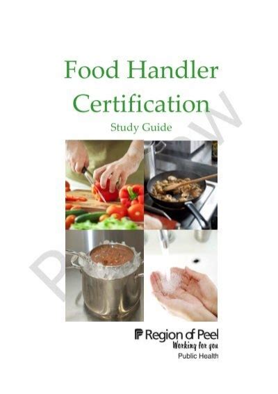 Peel region food handler certification study guide. - Helder batista, forma emergente, entre escultura e medalha.