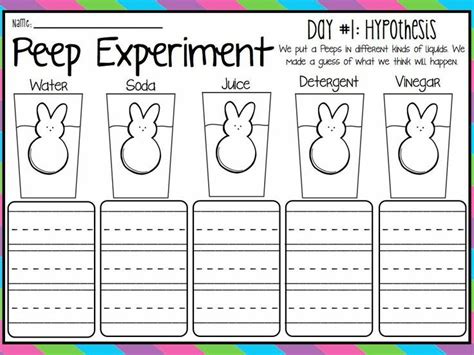 Peep Experiment Worksheet