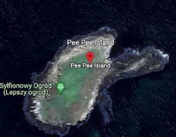 Peepee island. 47°11′29″N 52°50′14″W / 47.19139°N 52.83722°W Pee Pee Island is a small island located in the province of Newfoundland and Labrador in the far east of Canada. It is the smallest of the four islands in the Witless Bay Ecological Reserve, which it became a part of in 1983. It serves as a breeding place … See more 