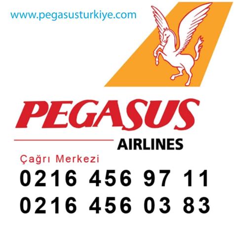 Pegasus bodrum telefon