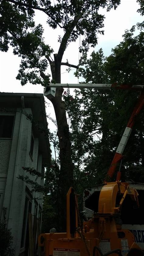 Pegram Tree Service in Greensboro, NC - fyple.com