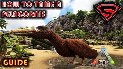 Pelagornis ark taming. Things To Know About Pelagornis ark taming. 