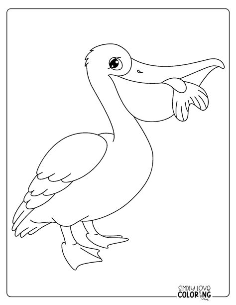 Pelican Coloring