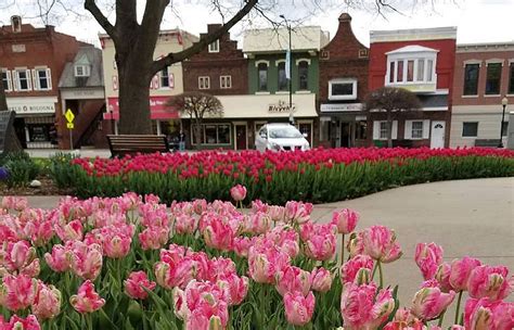 Pella Iowa Tulip Festival 2023