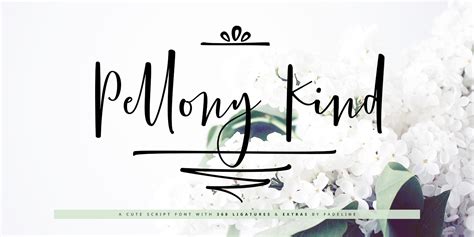 Pellony Kind FONT Download