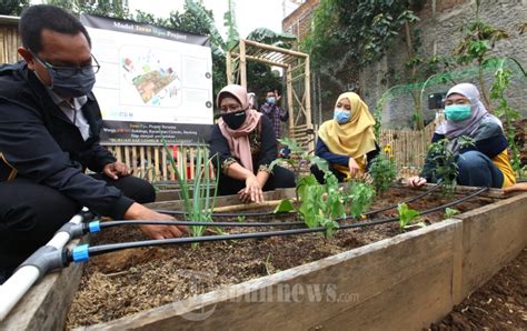 Peluncuran Teras Hijau Project di Kota Bandung - Tribunnews.com