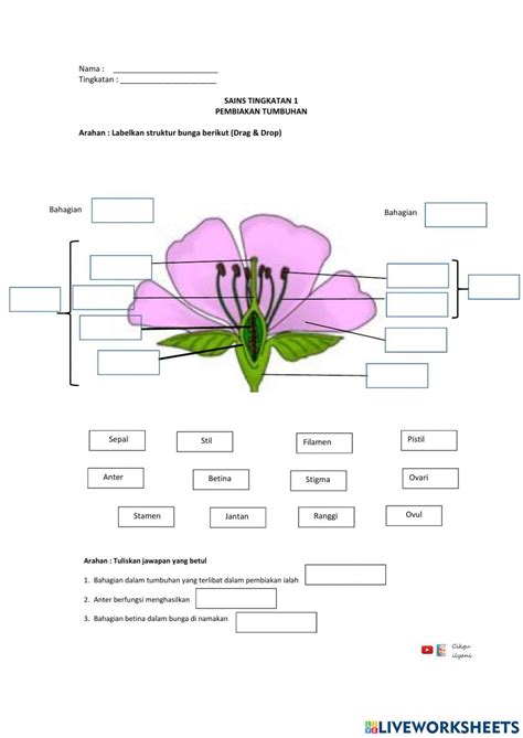 Pembiakan Tumbuhan exercise for Tingkatan 1