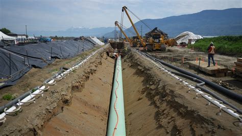 Pembina Pipeline needs Trans Mountain certainty before considering an offer: CEO