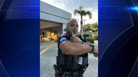 Pembroke Pines PD searching for owner of missing ferret
