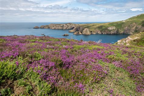 Pembrokeshire Coast Path – Day 7 – Abereiddy to Goodwick