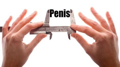 Penıs. The average adult penis flaccid (not erect, or soft) is around 3 to 4 inches long. The average adult penis erect (hard) is around 5.5 to 6.2 inches long. The average adult penis erect is around 4-5 inches around (in circumference). This image based on a study done by Lifestyles condoms can give you a good look at what the size range … 