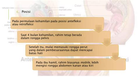 Pencernaan pada ibu hamil. .  ...