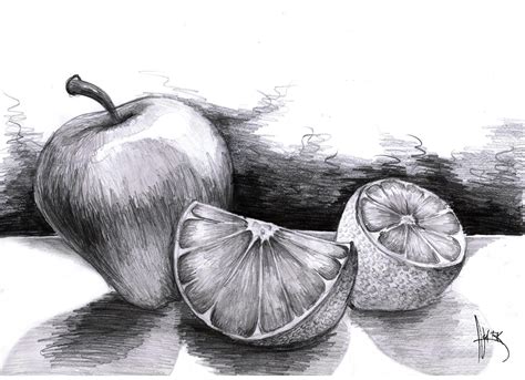 Pencil Fruit Drawings