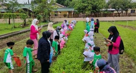 Pengenalan dan edukasi pertanian... - BBPP Batangkaluku