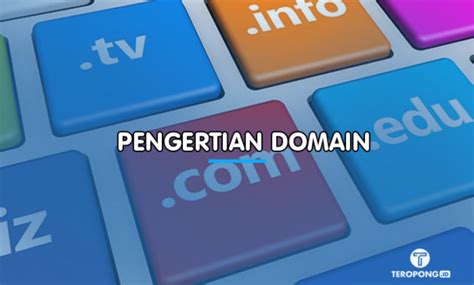 Pengertian Domain Adalah : Fungsi, Jenis & Contohnya Lengkap