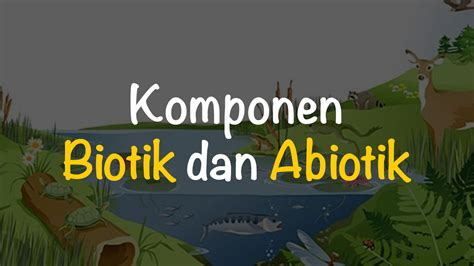 Pengertian Lingkungan Biotik dan Abiotik juga contohnya