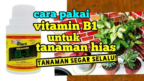 Cara mengisi sppd yang benar