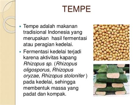 Pengolahan Kedelai: Tempe, Tahu, Kembang Tahu, & Kecap