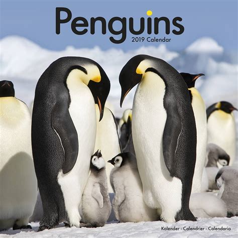 Penguins Calendar, Animal Calendars Pet Prints Inc