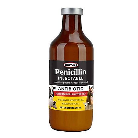 Penicillin at tractor supply. ABOUT THE VFD. The purpose of the Veterinary Feed Directive is to prevent antibacterial resistance in people by restricting the use of “medically important” antibiotics in food-producing animals. As of January 1, 2017, veterinarians became responsible for ensuring that certain antimicrobials are only accessible to sick patients under their ... 