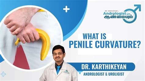 Penile curvature - Penile deviation: causes, treatment and FAQ …