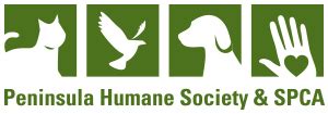 Peninsula humane society & spca. The Peninsula Humane Society & SPCA is a rare bird in our field! We’re among just a handful of humane societies and SPCAs, worldwide, that extends its caring services to sick, injured and orphaned wildlife. Our patients come from San Francisco through northern Santa Clara County and include hawks, ducks, geese, songbirds, seabirds and mammals. 