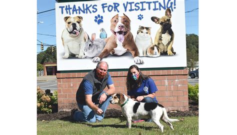 Peninsula regional animal shelter adoptions newport news va. Things To Know About Peninsula regional animal shelter adoptions newport news va. 