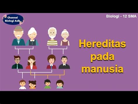 Penjelasan Hereditas pada Manusia - Materi SMA …